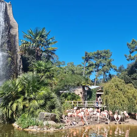 Beautiful In With Wifi