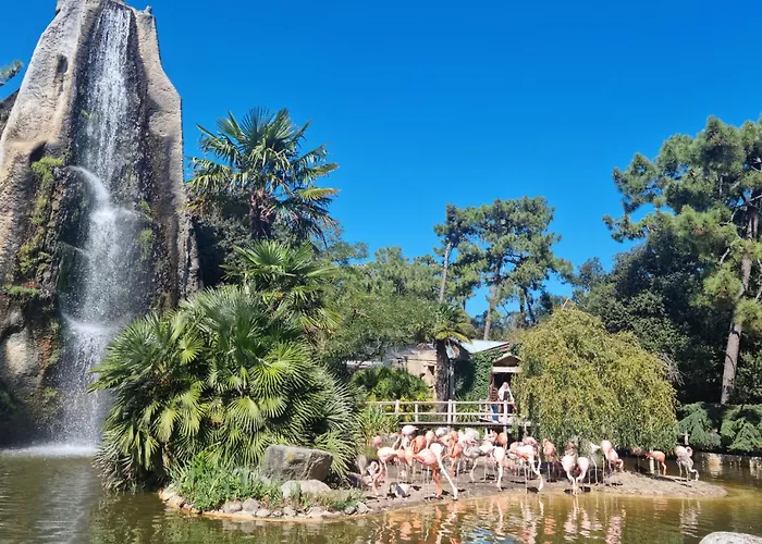 Beautiful In With Wifi